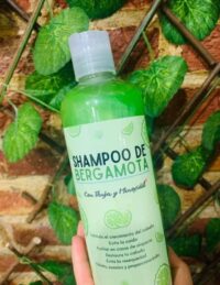 Shampoo Bergamota