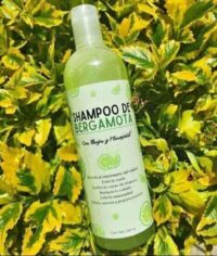 Shampoo Bergamota - Imagen 2