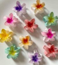 𝐏𝐢𝐧𝐳𝐚 𝐟𝐥𝐨𝐫 𝐡𝐚𝐰𝐚𝐢𝐚𝐧𝐚 - Imagen 4