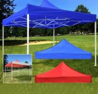 carpa - Imagen 2