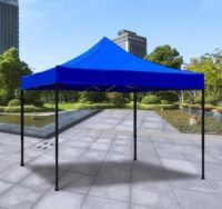 carpa - Imagen 3