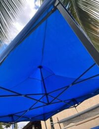 carpa - Imagen 4