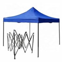 carpa - Imagen 5