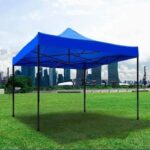 carpa