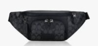 CANGURO COACH - Imagen 2