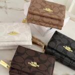 Mini cartera  𝘾𝙊𝘼𝘾𝙃